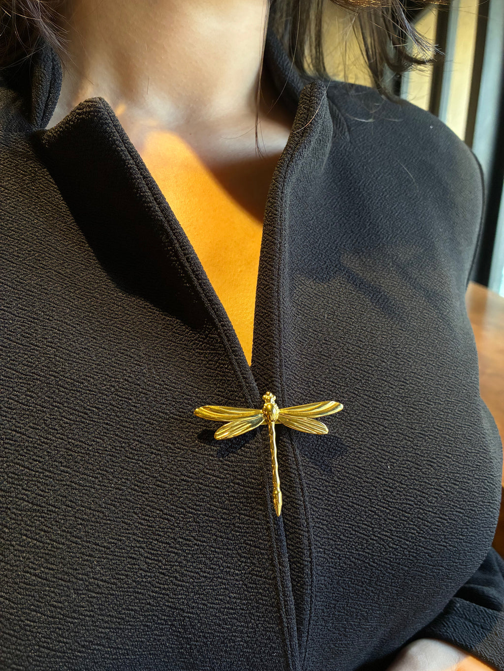 Dragonfly Brooch
