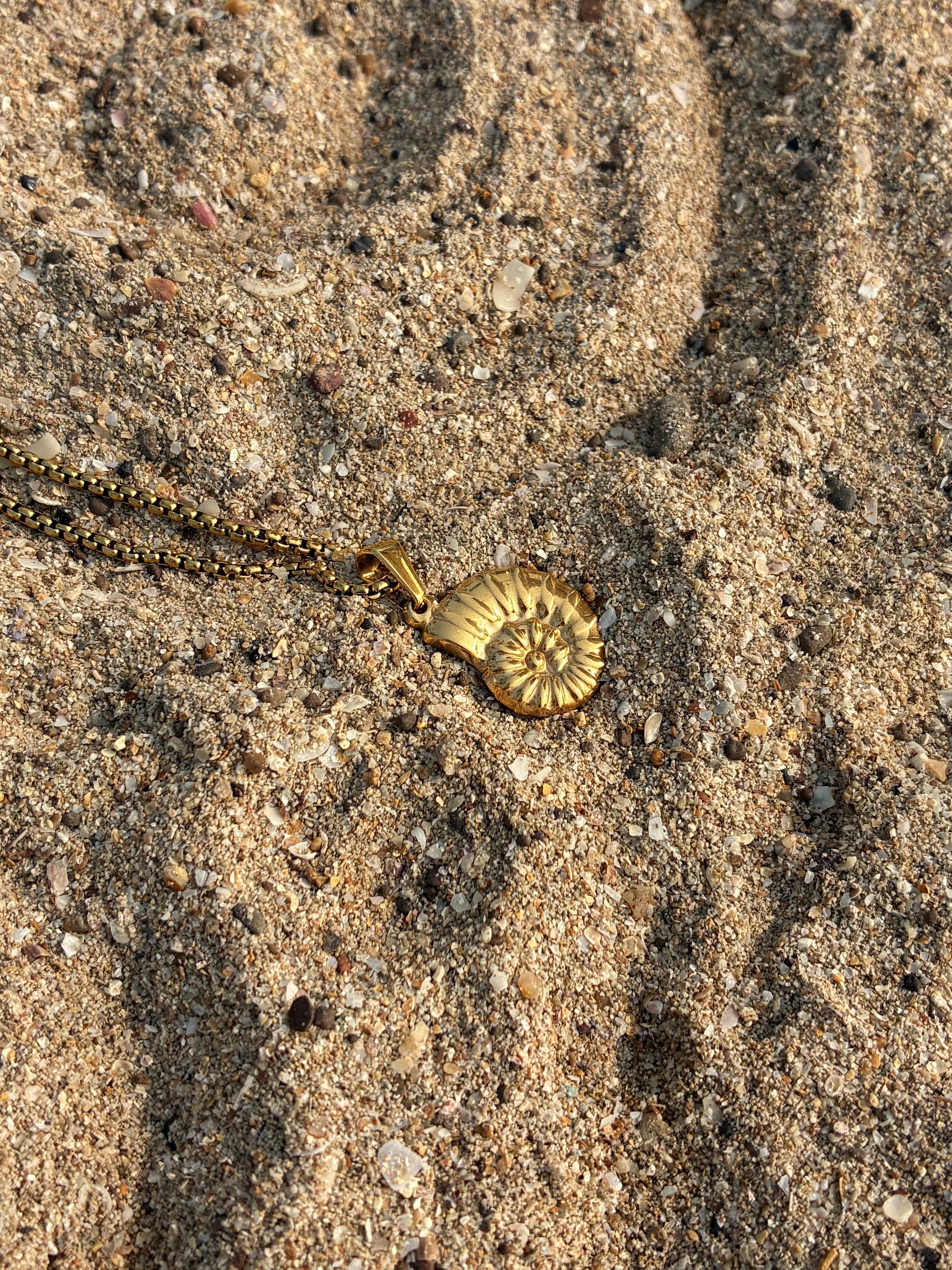 Ebb & Coil