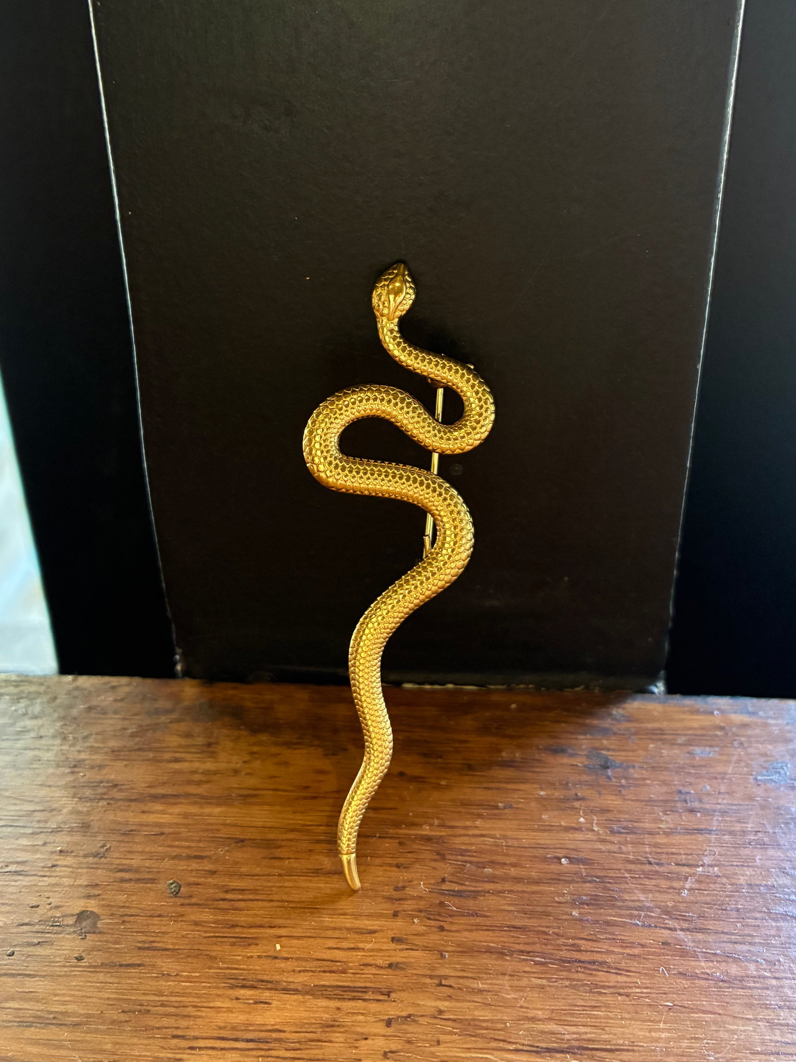 Serpentine Brooch