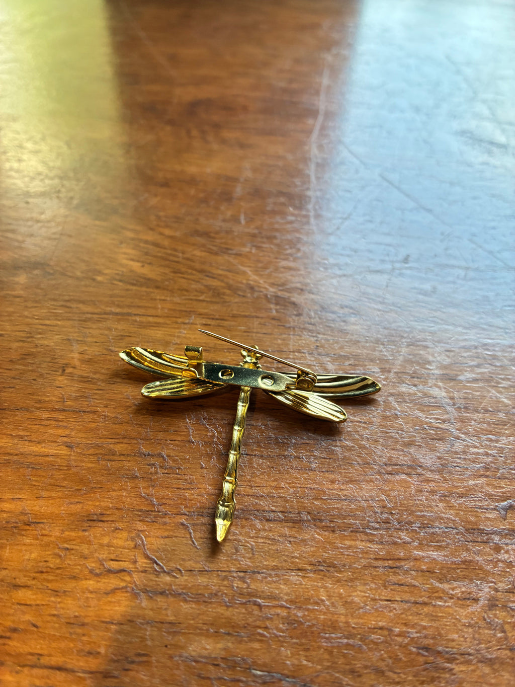 Dragonfly Brooch