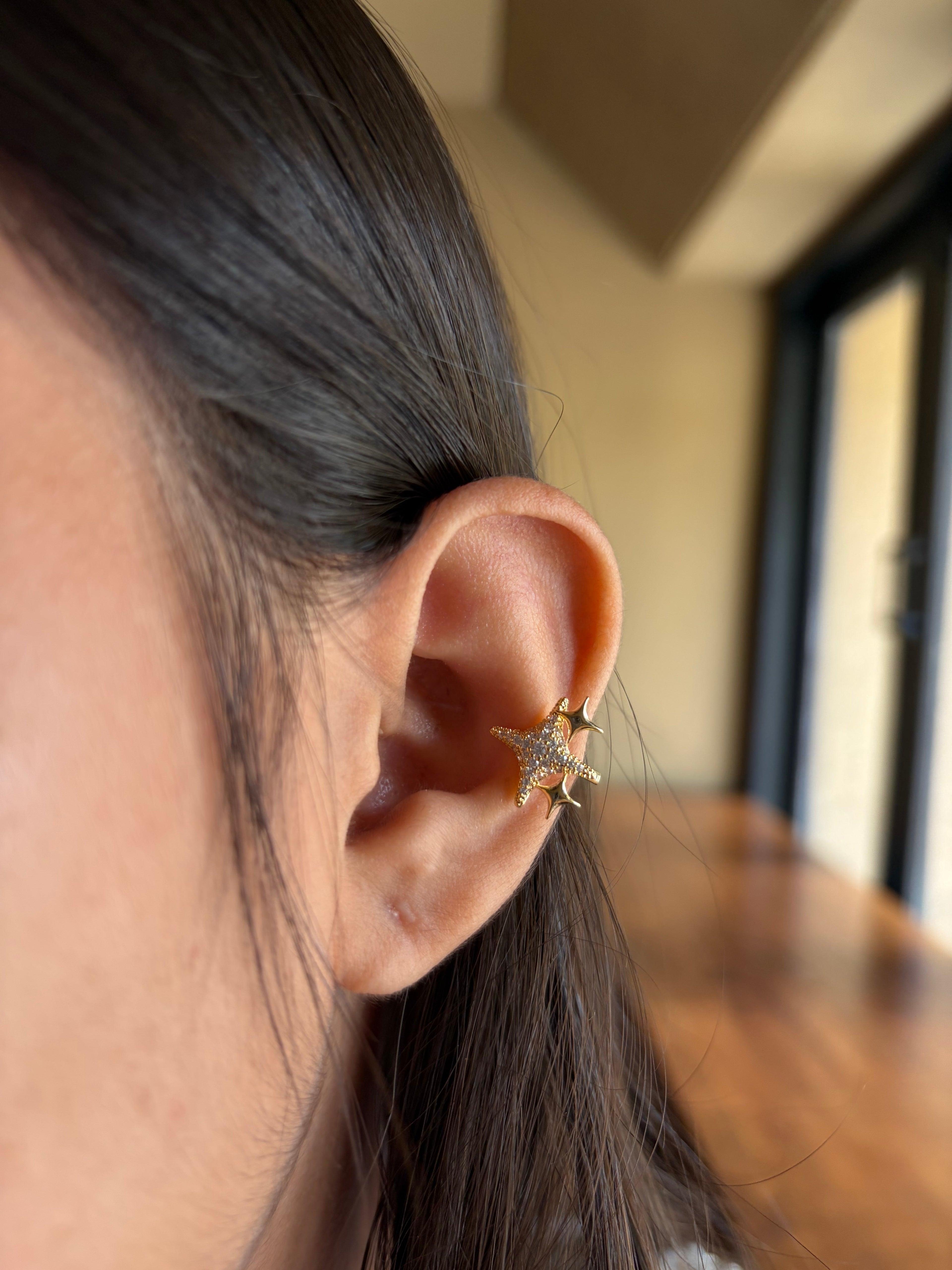 Starry Dream Earstack