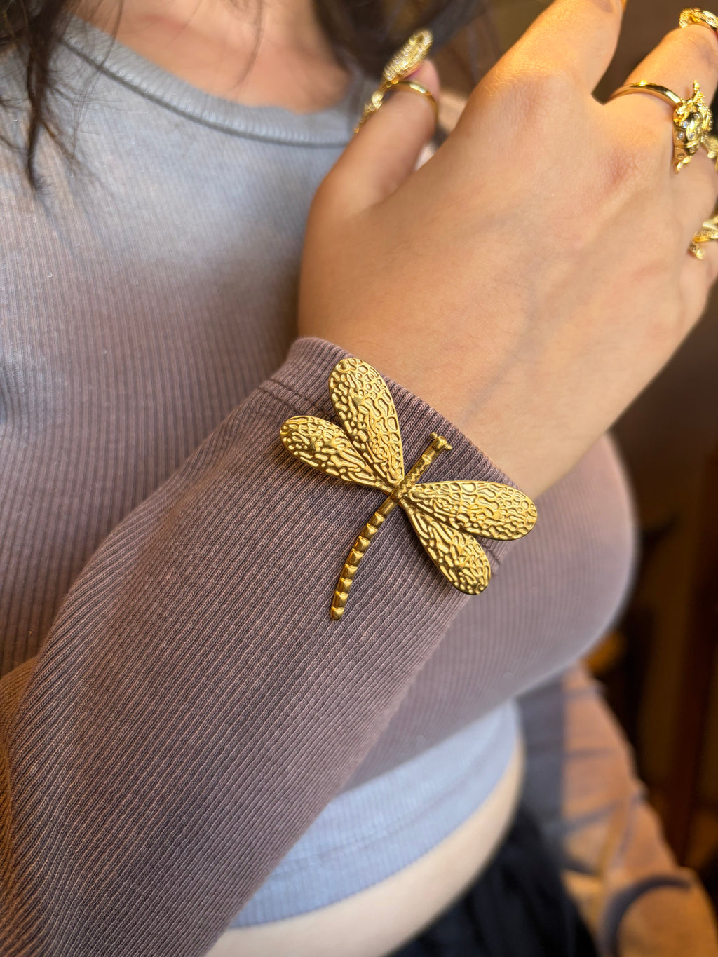 Curvy Dragonfly Brooch