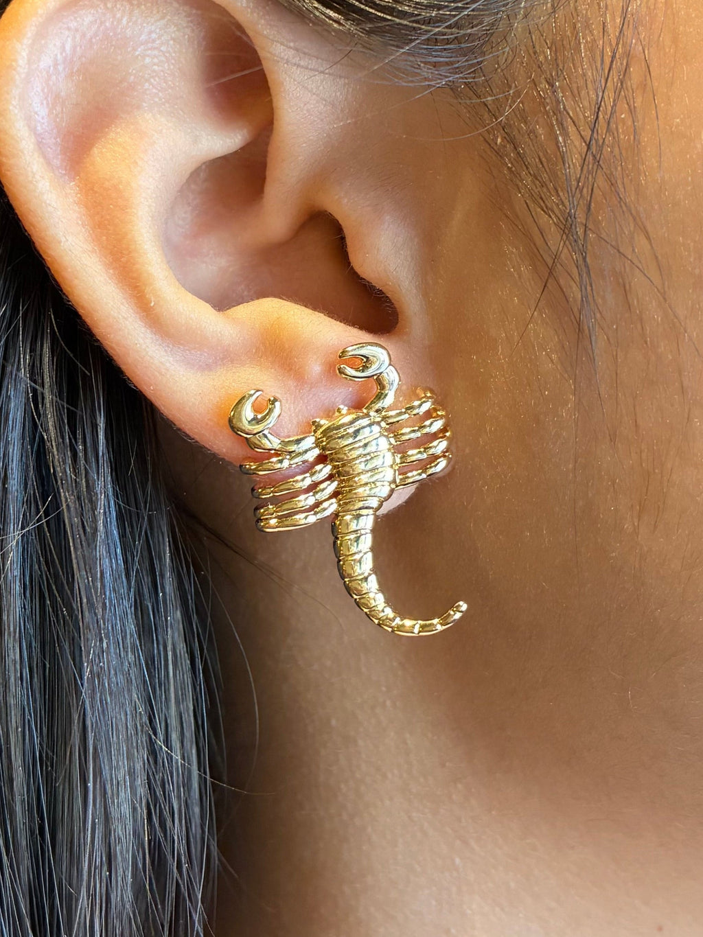 Scorpio Mio Earrings